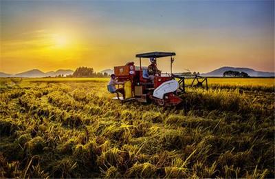 内蒙古惠宾电子商务官方-中国农牧信息产业平台、农牧产品交易、三农信息服务、三农培训、